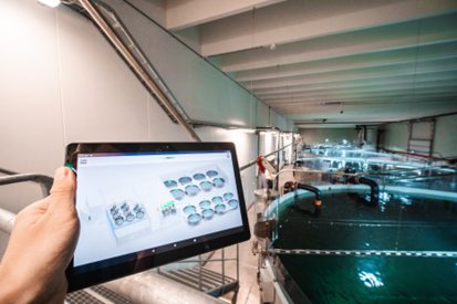 Landbasert settefiskanlegg hos Ellingsen Seafood